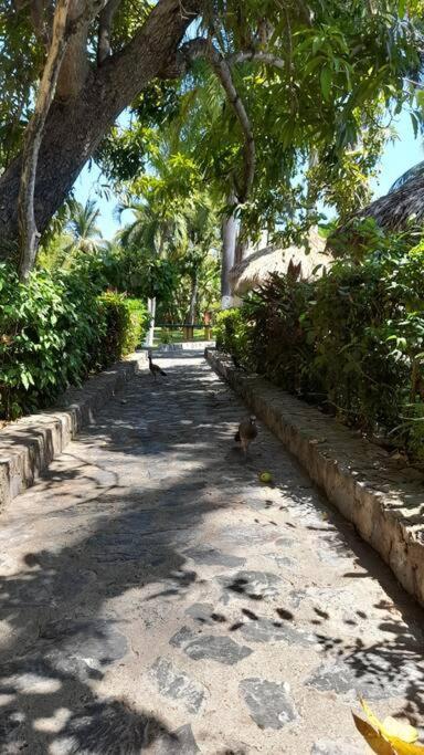 Sol Y Mar. Delfines Apartment Ixtapa  Exterior photo